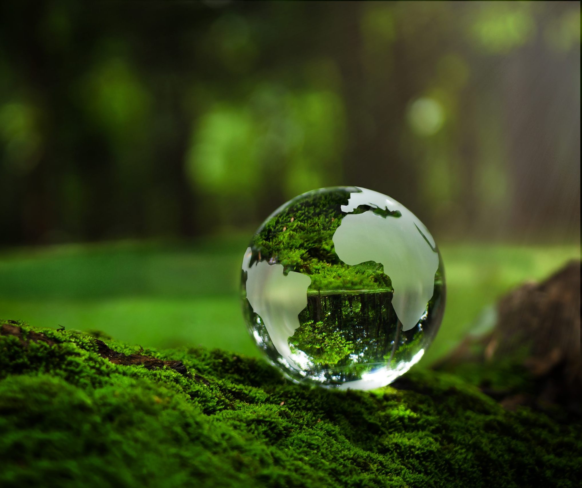 ESG Advocacy & Regulation